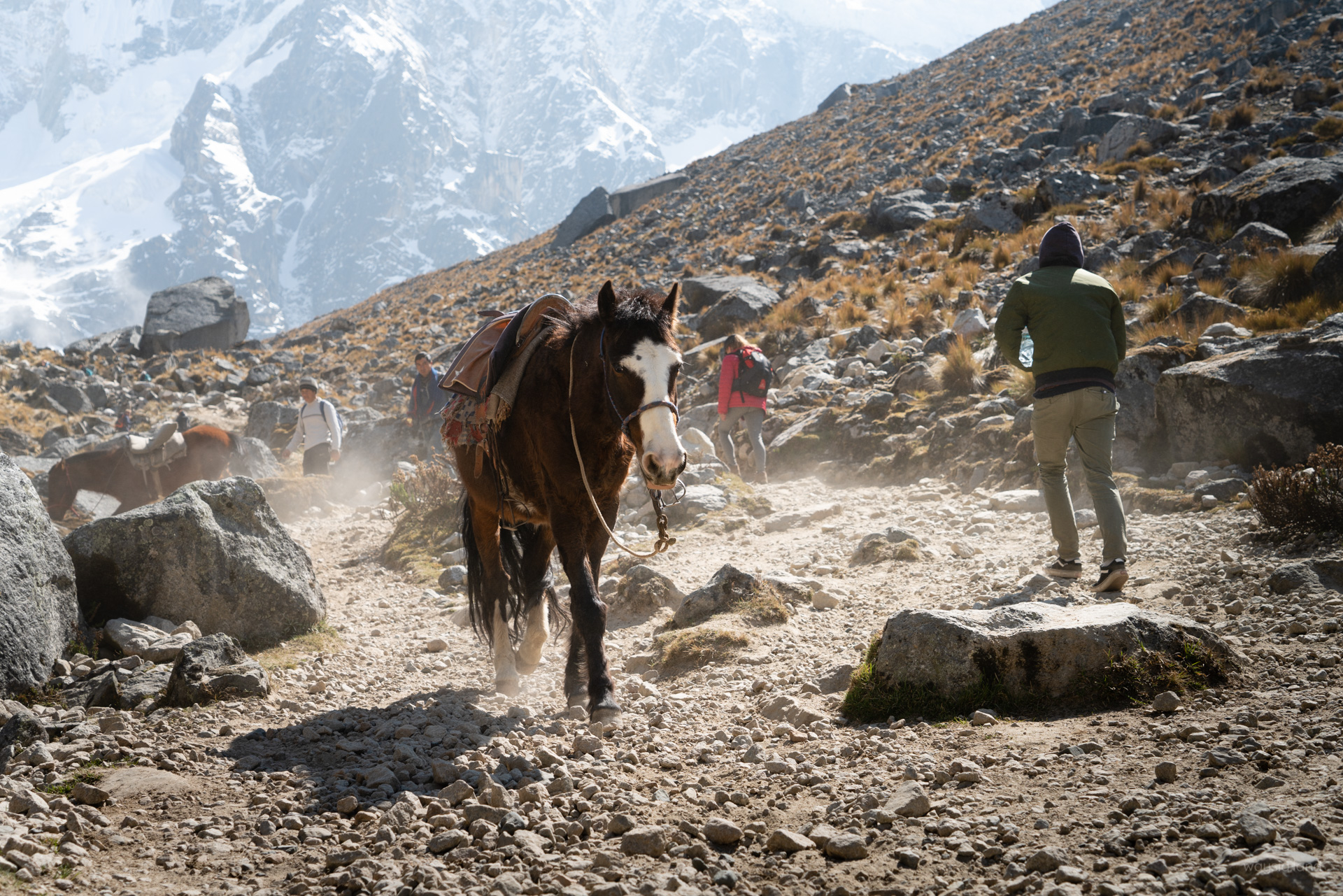 Salkantay Trek to Machu Picchu