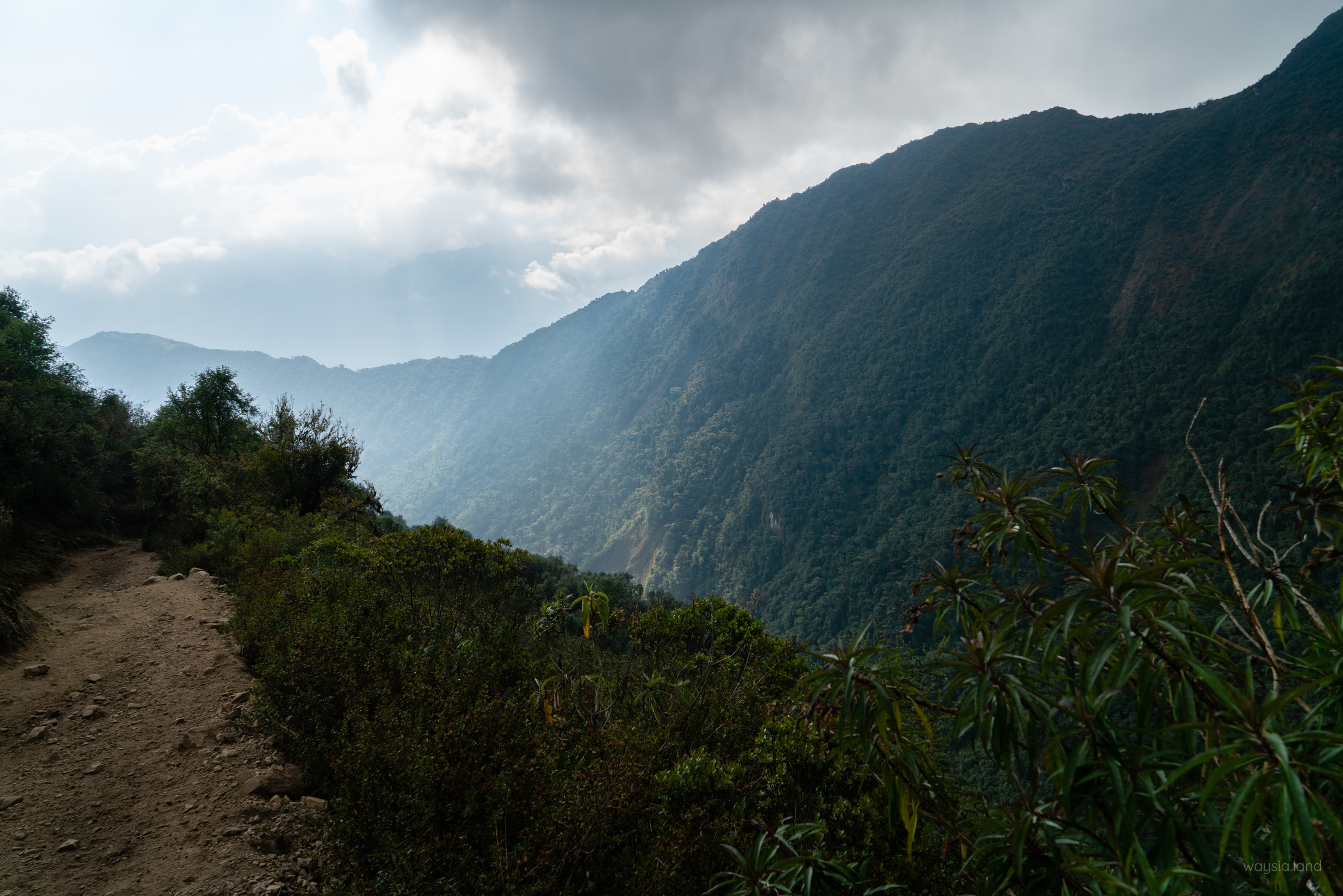 The cloud forest of the Salkantay Trek