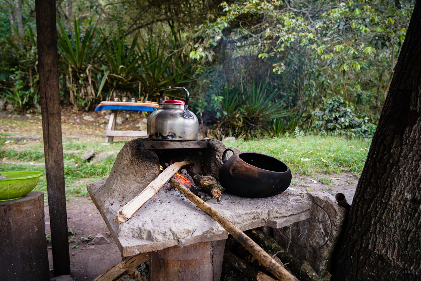 Coffee plantation. Or is it?