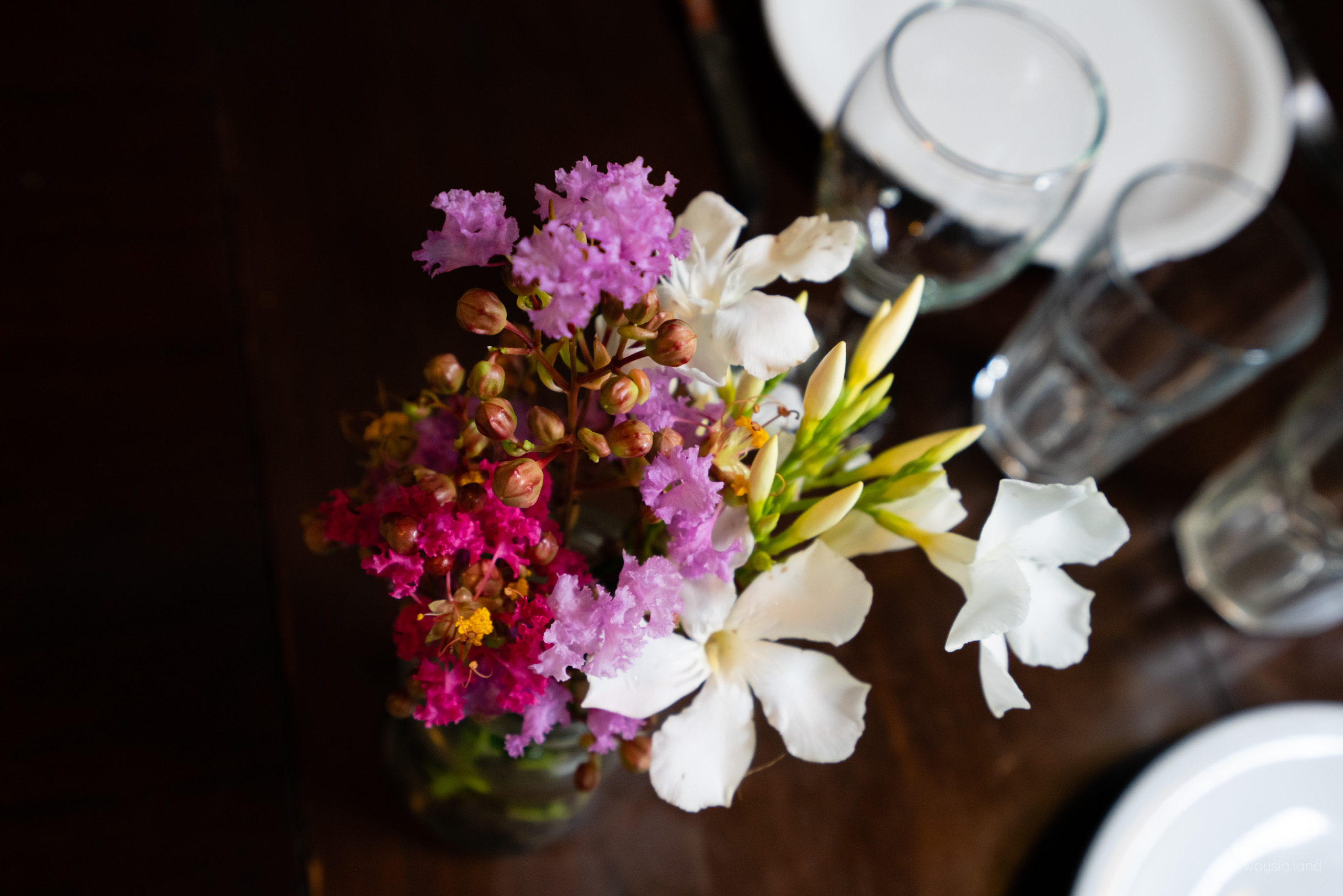 Argentinian flowers