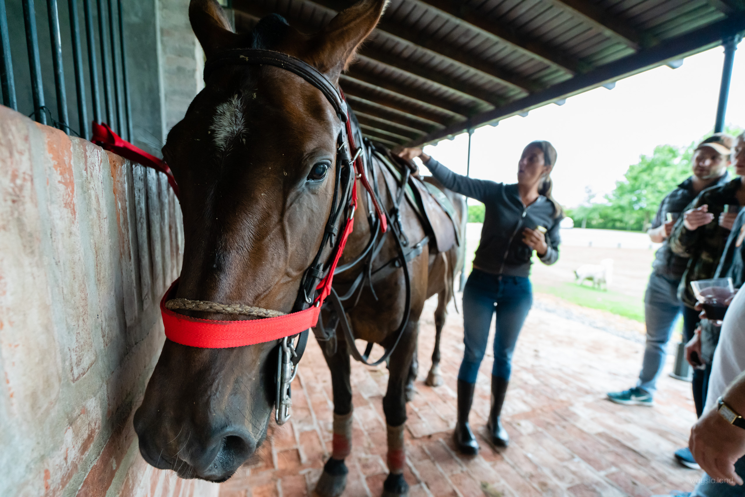 The stables