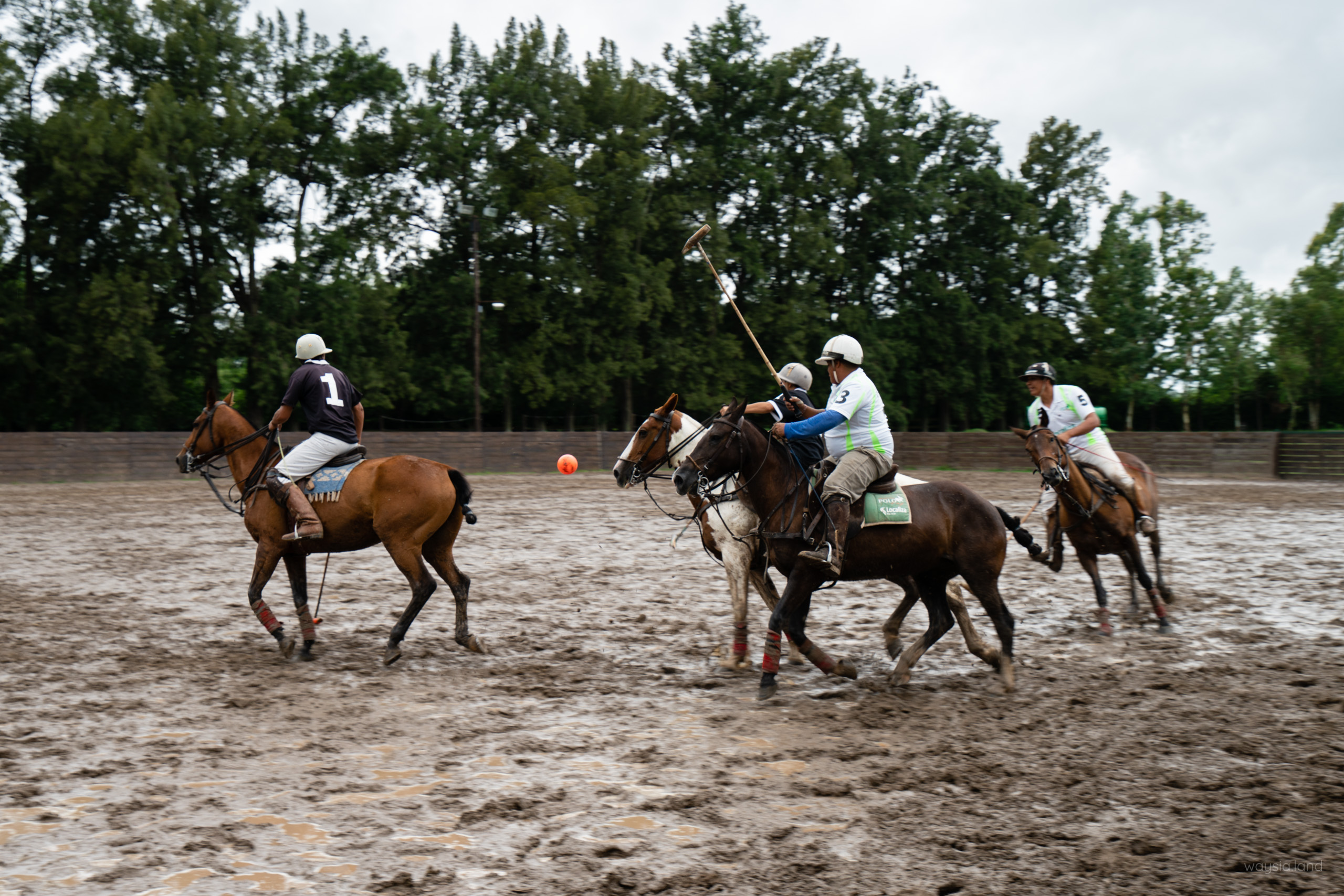 More polo action