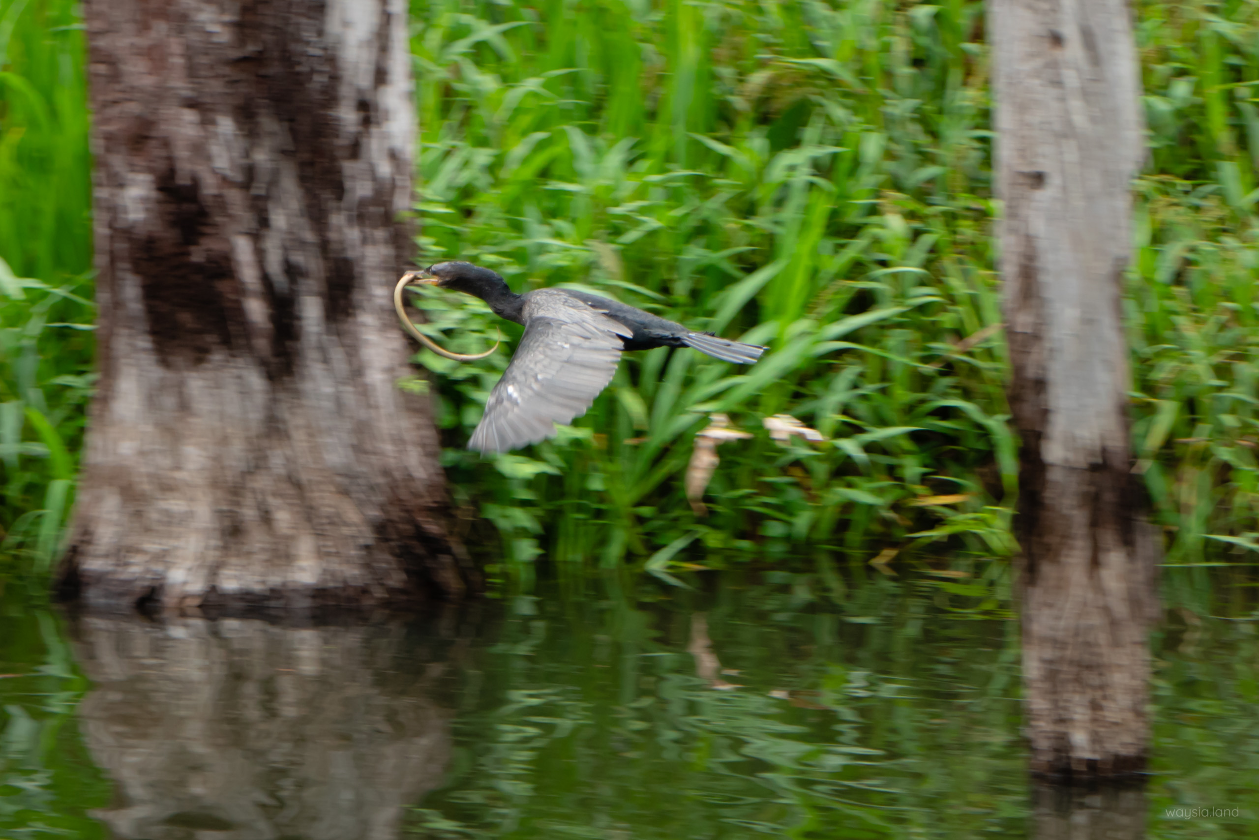 Fishing part 1: Catching