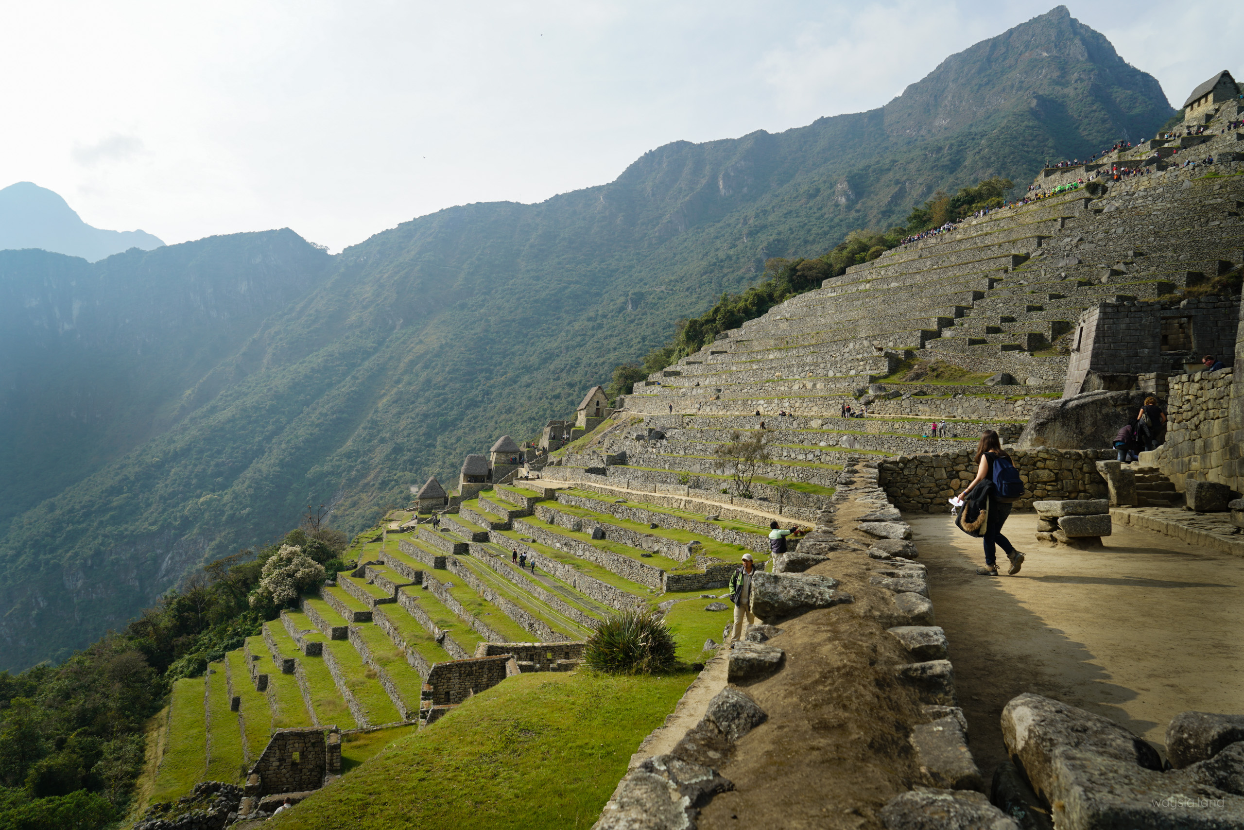 Terraces with the hiking trail to/from Inti Punku (fine... the Sun Gate) visible in the background.