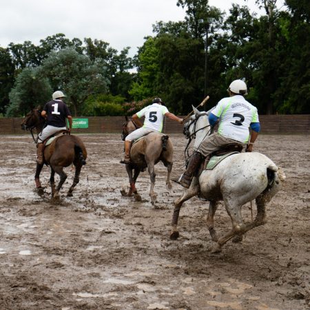 Play polo in Buenos Aires, Argentina